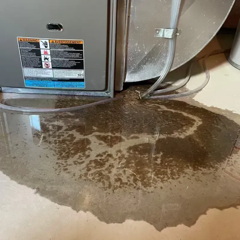 Appliance Leak Cleanup in Camden, DE